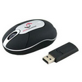 Wireless Optical Mouse with Flash Drive